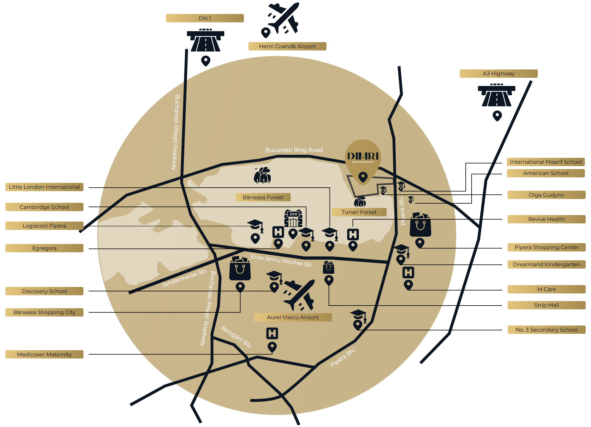 Dimri North Collection