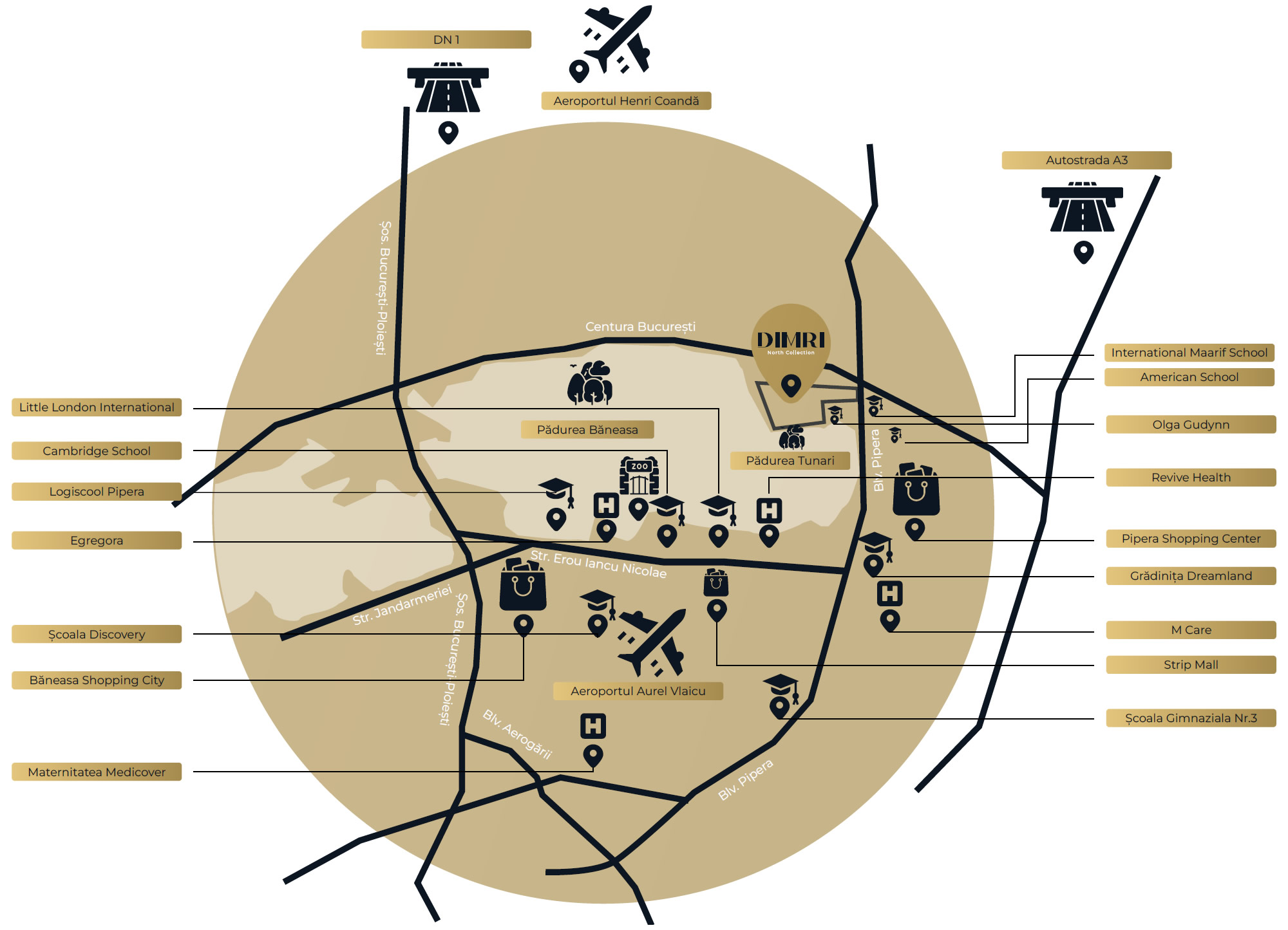 Dimri North Collection